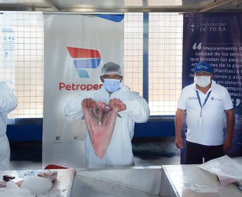 Proyecto-PNIPA-Petroperu-4-e1615990757188-800x398