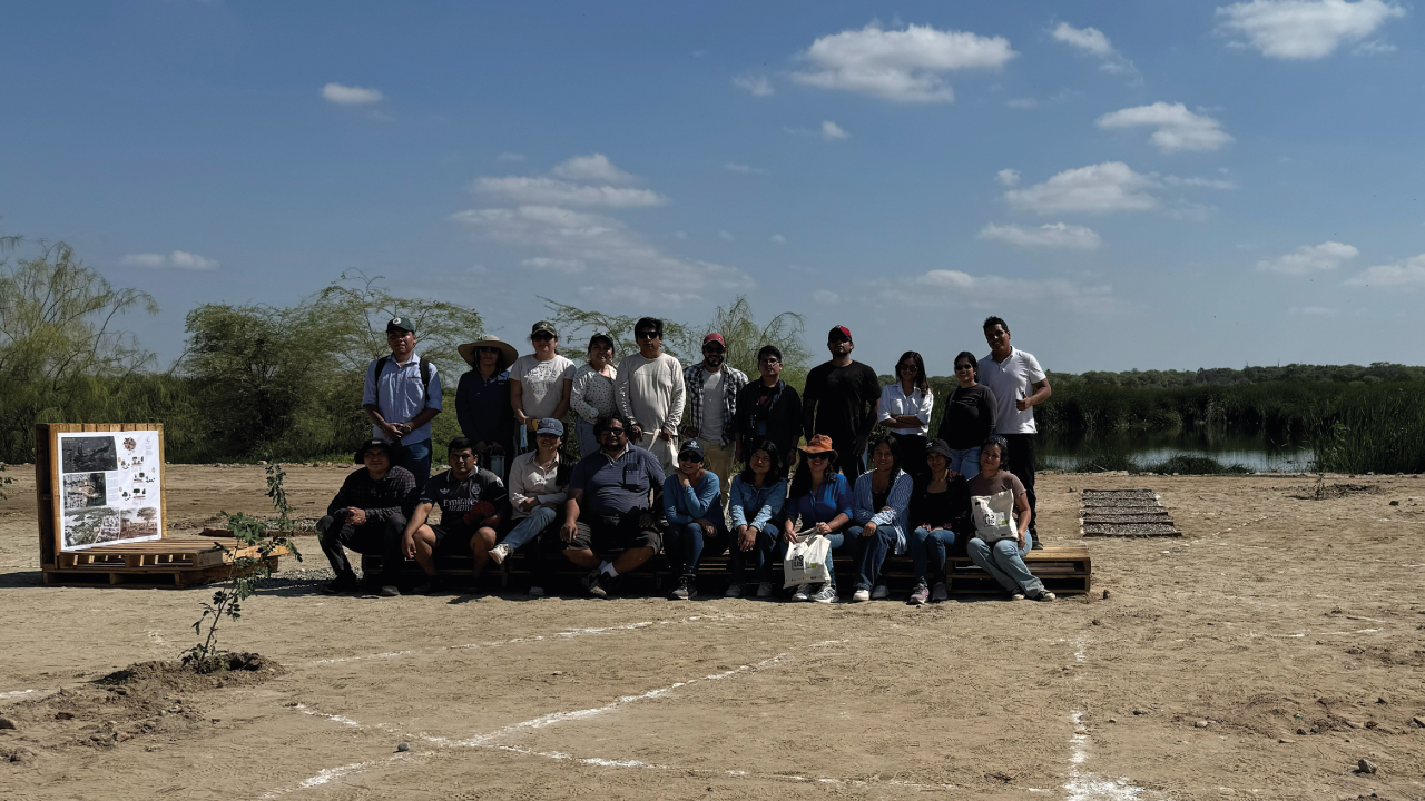 Proyecto Polis