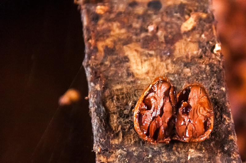 16578633068_07697a1553_k